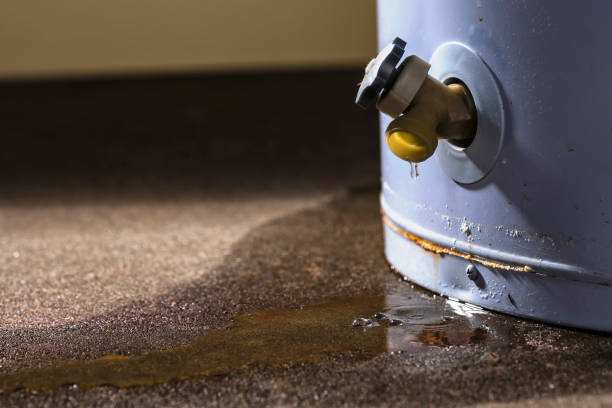 Best Water damage restoration near me  in Chevy Chase, MD