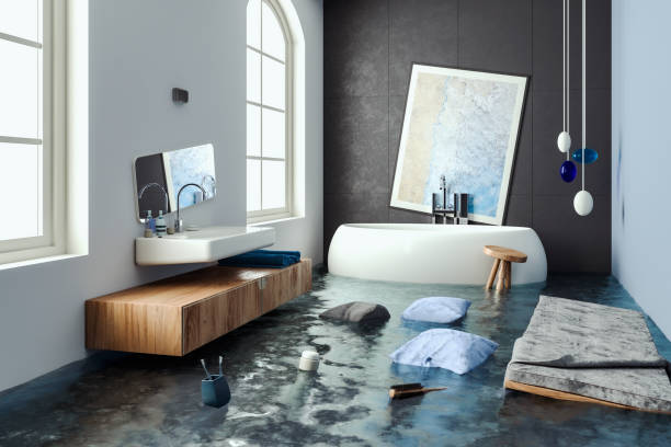 Best Water damage cleanup near me  in Chevy Chase, MD
