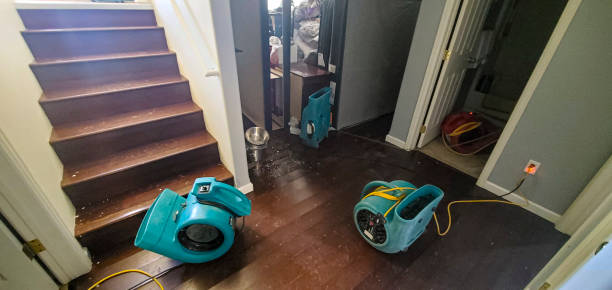 Best Flooded house restoration  in Chevy Chase, MD