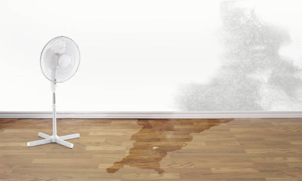 Best Residential water damage restoration  in Chevy Chase, MD
