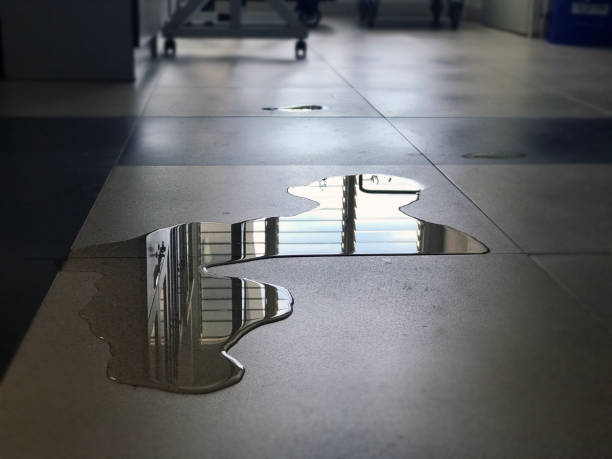 Best Water damage restoration near me  in Chevy Chase, MD