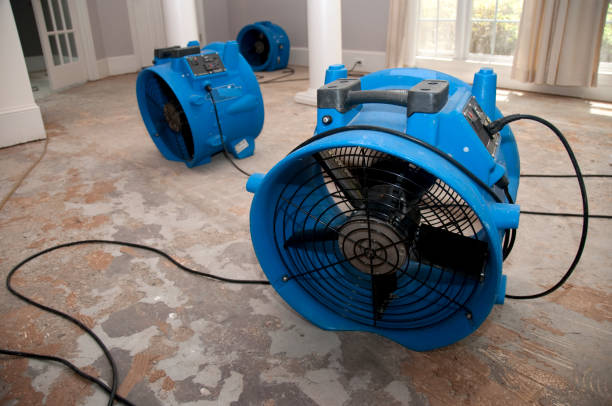 Best Water damage contractors near me  in Chevy Chase, MD