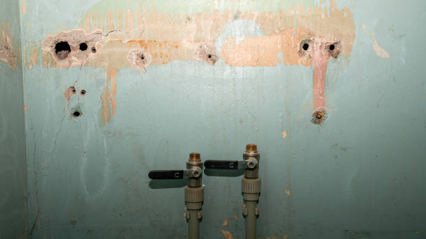 Best Flood restoration services  in Chevy Chase, MD