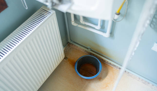 Best Carpet water damage restoration  in Chevy Chase, MD