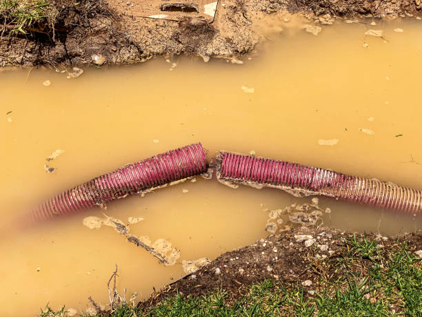 Best Mold removal after water damage  in Chevy Chase, MD