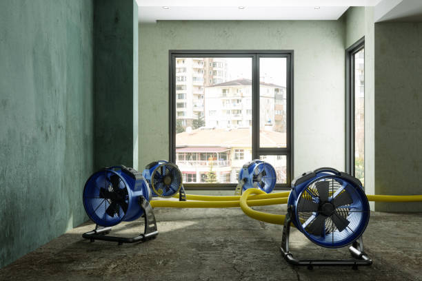 Professional Water damage restoration in Chevy Chase, MD